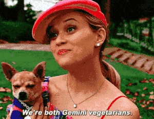 Elle Woods (played by Reese Witherspoon), blonde and wearing a pink cap, holds a tiny dog in a jumper while saying, “We’re both Gemini vegetarians.”